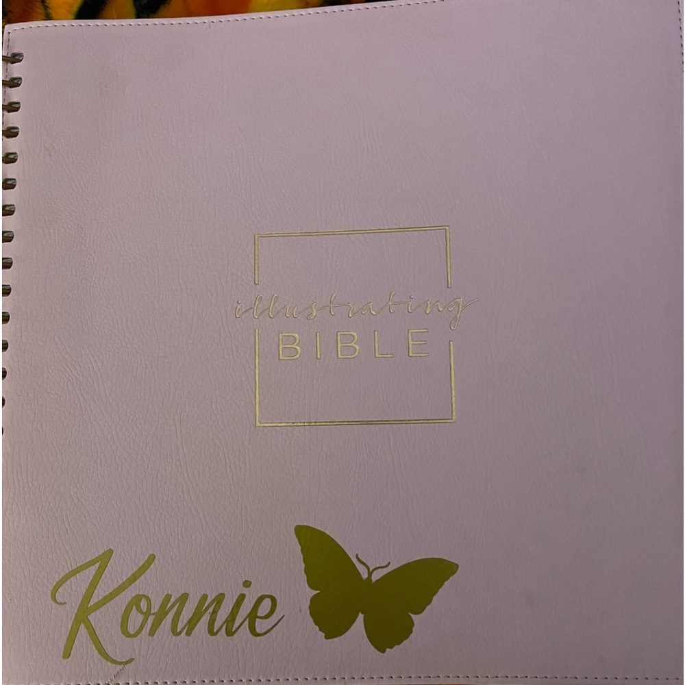 Dayspring Illustrated Bible